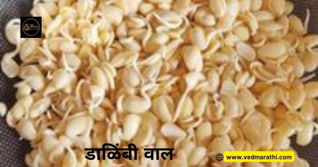 Dalimbi Val